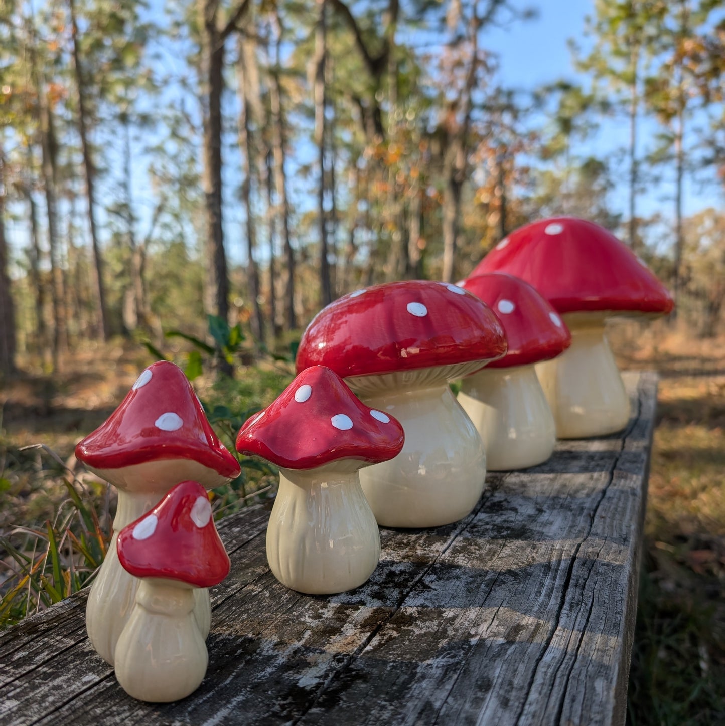 Garden mushroom (8-inch)