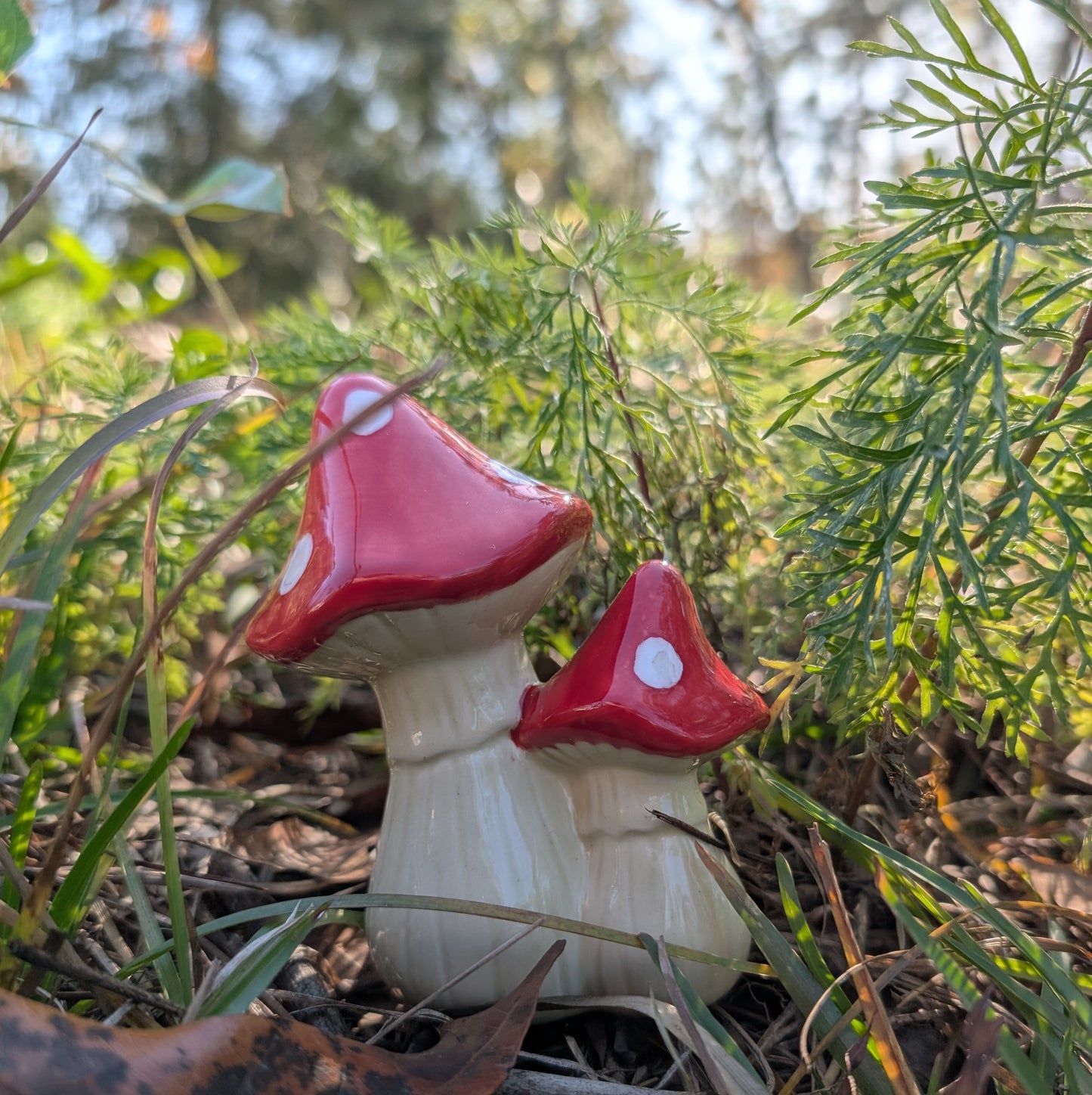 Garden mushroom (pair)